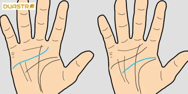 Hand Shapes in Hand Reading